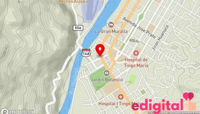 mapa de Botica Belen Farmacia en Tingo María