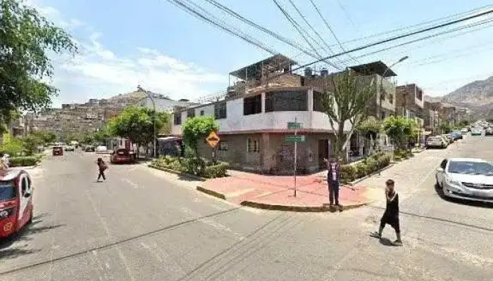 Botica Biosalud -  Telefono - Independencia