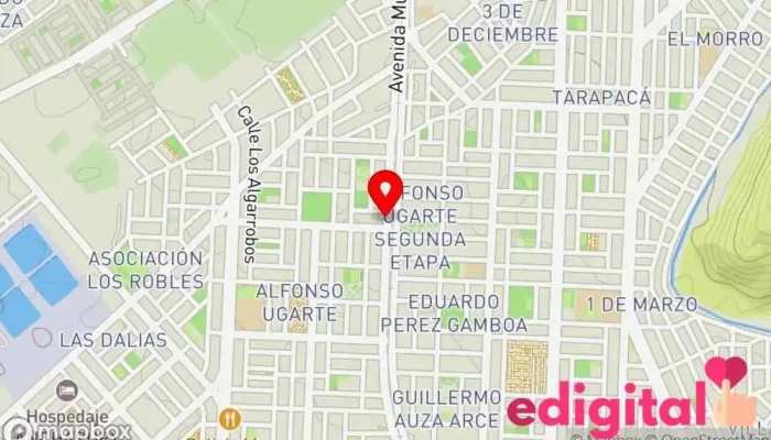 mapa de BOTICA DIVINA SALUD A&V Farmacia en Tacna