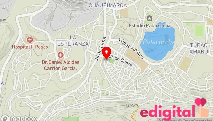 mapa de BOTICA HOLÍSTICA Compañía farmacéutica en Cerro De Pasco