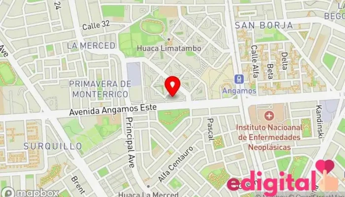 mapa de BOTICA INTEGRATIVA FIRSTMED PHARMA Farmacia en San Borja
