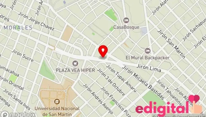 mapa de Botica La Solidaridad Medica Farmacia en Tarapoto