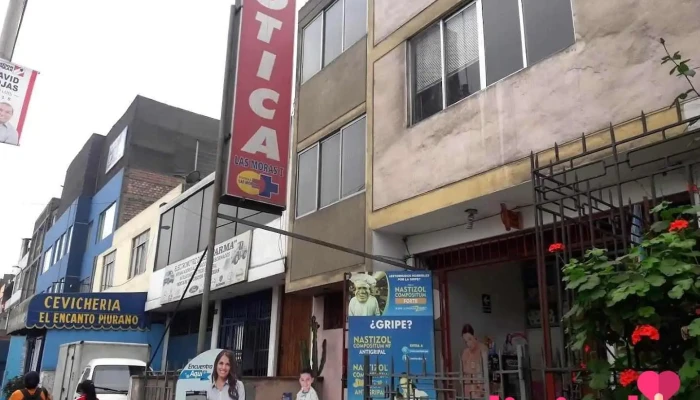 Botica Las Moras - San Luis