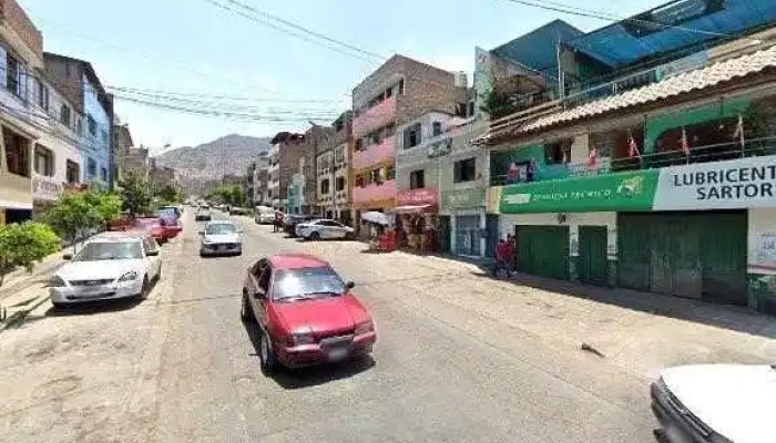 Botica Las Violetas -  Descuentos - Lima