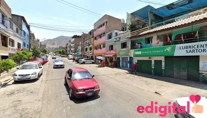 Botica Las Violetas - Lima