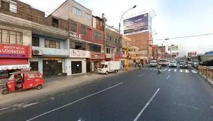 Botica Las Violetas -  Promociondeg - Independencia