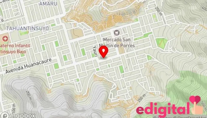 mapa de Botica Magister Salud Farmacia en Independencia
