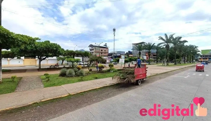 Botica Merfarma Medicina En General - Tingo María