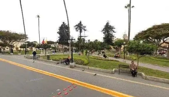 Botica Municipal -    Farmaminsa Preciosdeg - Santiago de Surco