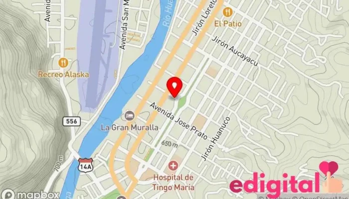 mapa de Botica Municipal Farmacia en Tingo María