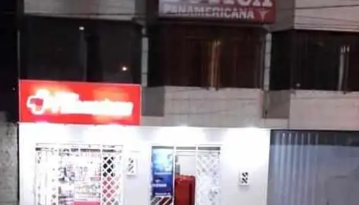 Botica Panamericana Telefono - Pisco