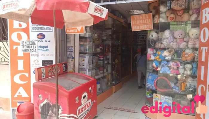 Botica Paraiso -  Del Propietario - Lurigancho-chosica