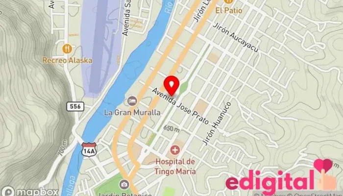 mapa de Botica Santa Catalina Farmacia en Tingo María