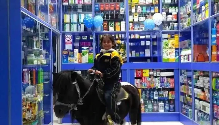 Botica Universal - Concepción