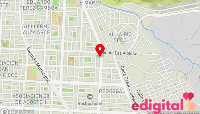 mapa de BOTICA VIDA Y FAMILIA-Cantera Farmacia en Tacna