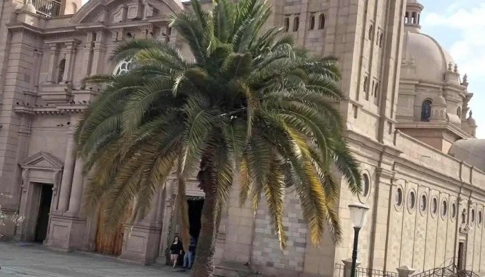 Bustour Tacna - Peru