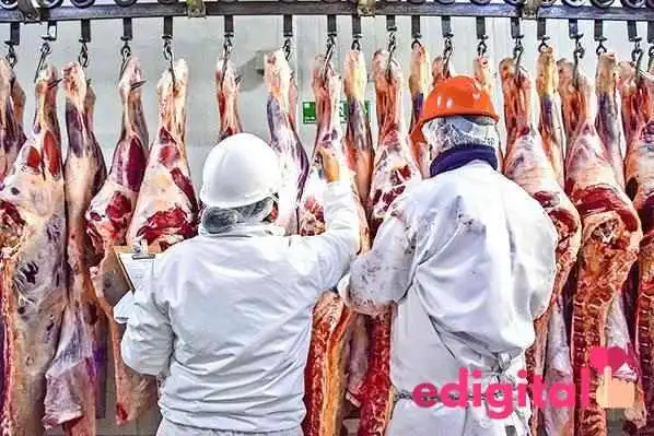 Carnes Avicacer - Huancayo 12001