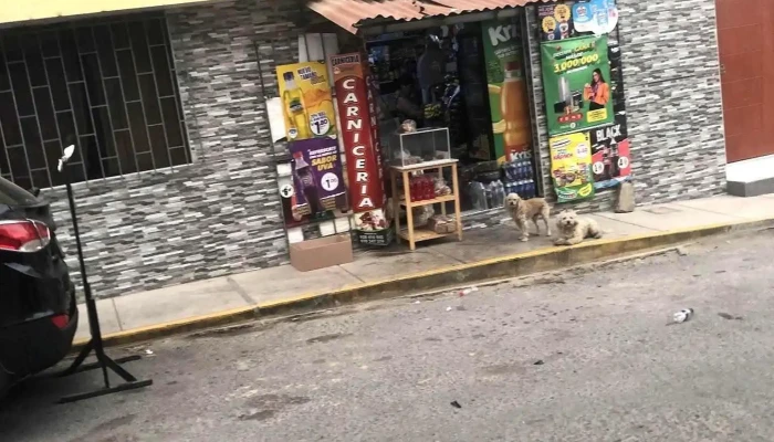 Carnicería Luimar - Cocachacra 04431