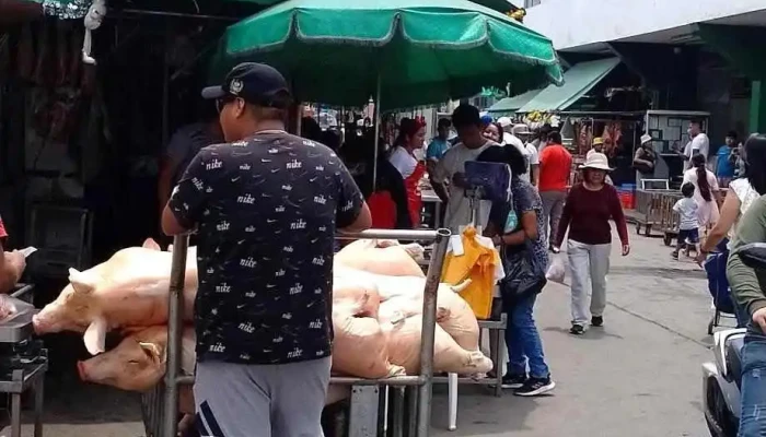 Carnicería y Congelados melendez e hijos - Lima 15019