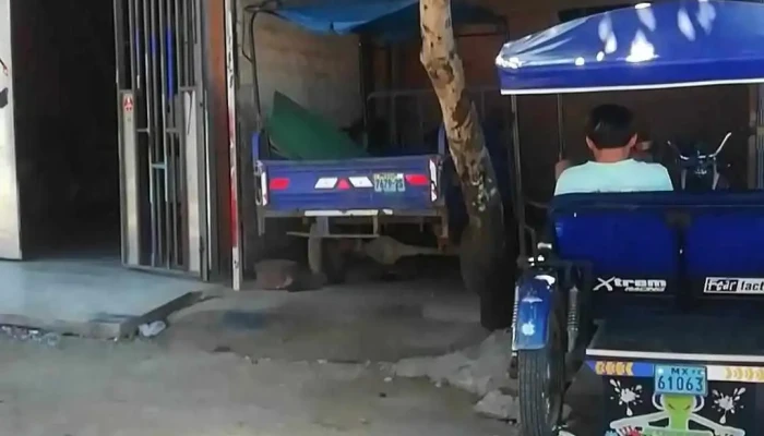 Chamu stickers (letras, logotipos y polarizados de lunas,vidrios y mamparas ) - Unnamed Road