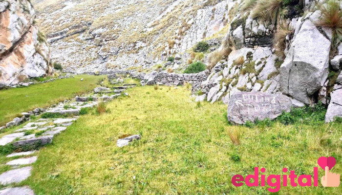 Chuyac - San Pedro De Cajas 12720
