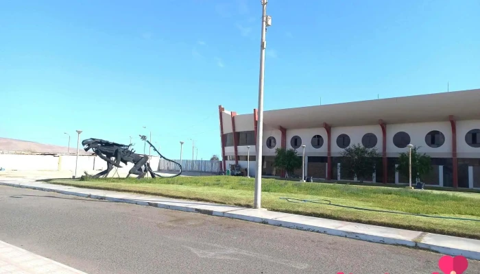 Civa Terminal Terrestre Ilo. - Av. Panamericana
