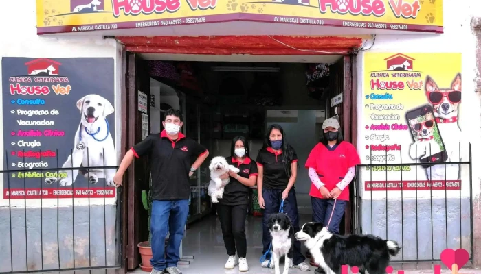 Clinica Veterinaria House Vet -  Perro - Urubamba