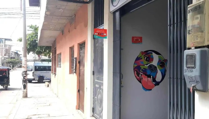 Clinica Veterinaria Reyza -  Catalogo - Tumbes