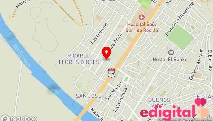 mapa de CLINICA VETERINARIA REYZA Veterinario, Clínica ambulatoria, Farmacia veterinaria en Tumbes