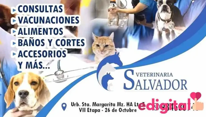Clinica Veterinaria Salvador Gato - Piura