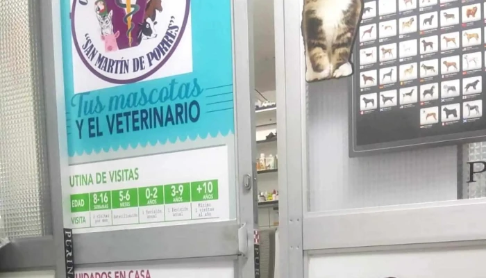 Clínica Veterinaria San Martín De Porres - Ayacucho