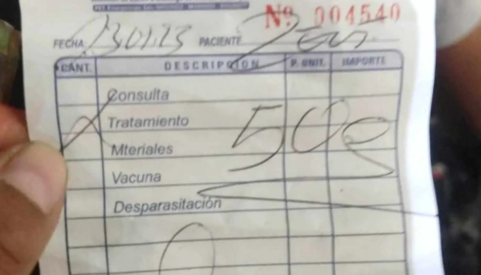 Clinica Veterinaria San Martin De Porres Promocion - Ayacucho