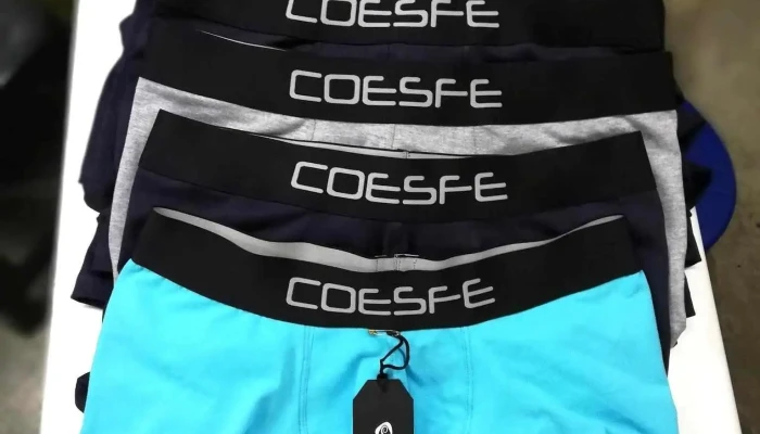 Coesfe - Parcona 11003