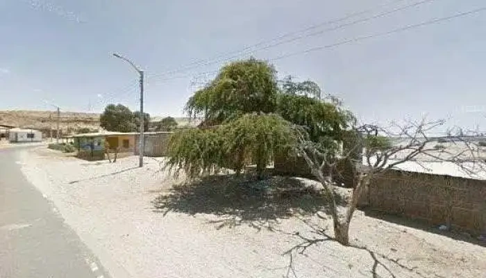 Colan Farma -  Puntajedeg - Colán