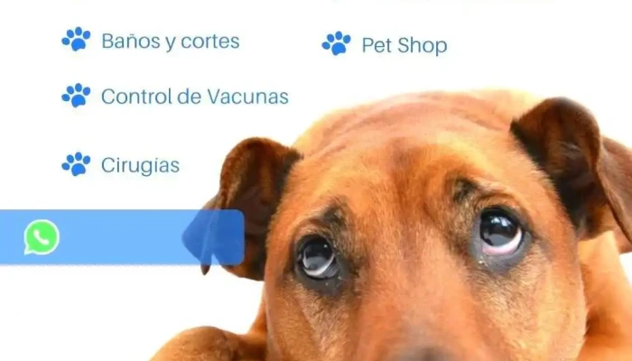 Consultorio Veterinario Animal Center Tumbes Videos - Tumbes
