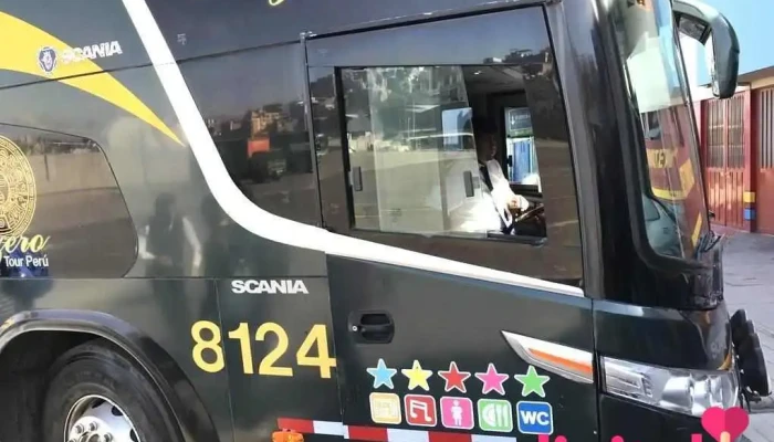 Cruz Del Sur -  Autobus - Arequipa