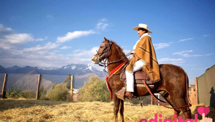 Dcajonmaras - Cusco 08001