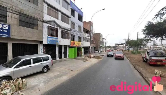 Droguería 356 - San Juan De Lurigancho 15408