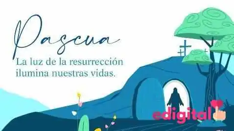 Drogueria Vmg -  Mas Recientes - Trujillo