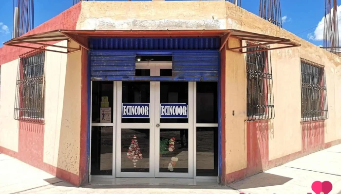Ecincoor - Y