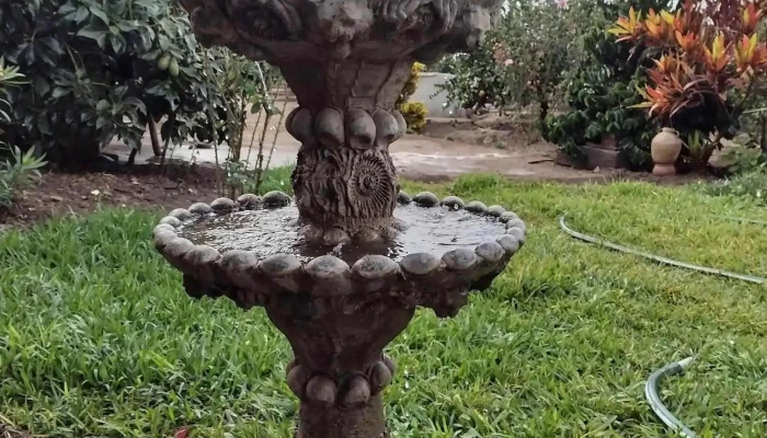 El Azahar de mi Campo.Huando - Huaral 15201