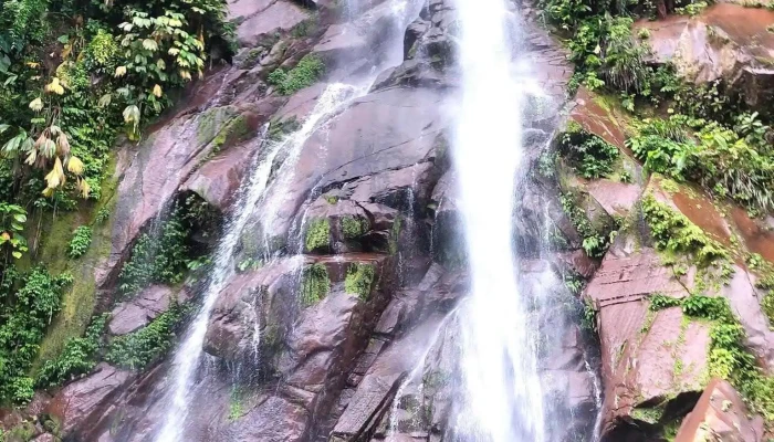 El Boquerón, Aguaytía - 25550