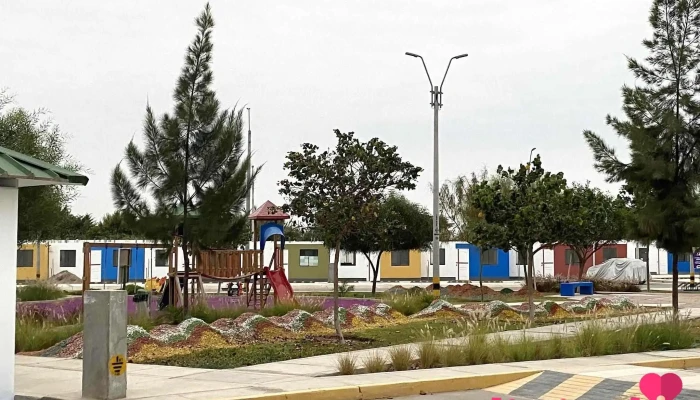 El Olivar de Pisco - Menorca - Au. Panamericana Sur