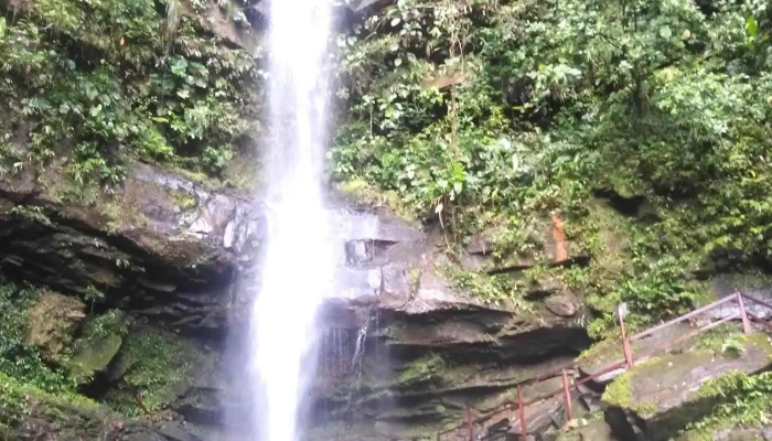 Elija Travel Tours - Tarapoto 22202