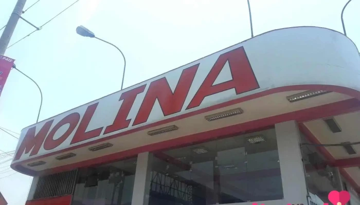 Empresa De Transporte Warivilca S.a. - Av. Nicolás Ayllón 1352