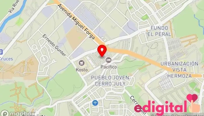 Empresa de Transportes Cotaspa S.a. - Socabaya