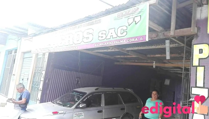 Empresa de Transportes Inversiones Milagros Sac - Av. Ricardo Palma