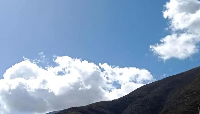 Empresa De Transportes Turismo Armonia Sa Precios - Huánuco 10001