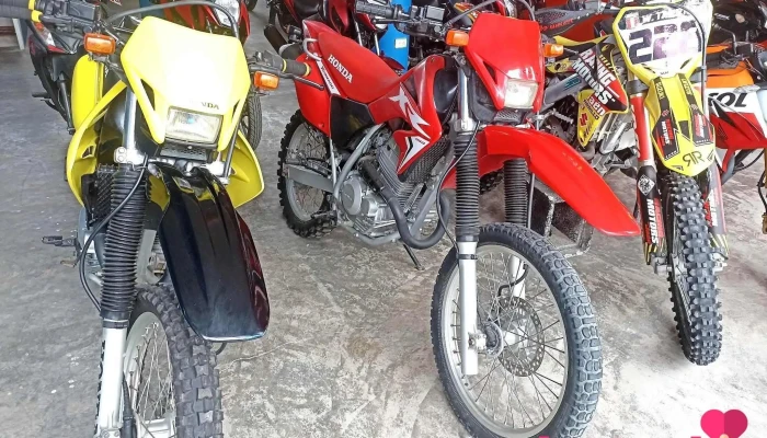 Entre Ruedas Willcross E.i.r.l - Jaén 06801