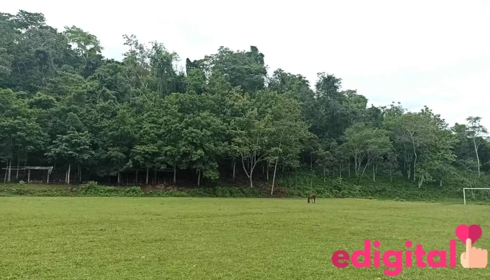 Estadio de Chazuta - Chazuta 22300